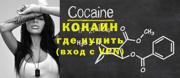стаф Балахна