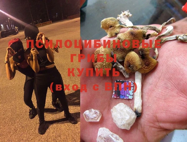 трава Баксан
