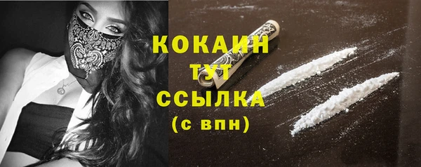 стаф Балахна