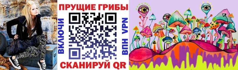 Галлюциногенные грибы мицелий  хочу   МЕГА зеркало  Печора 